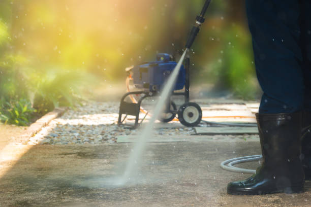 Best Sidewalk and Walkway Cleaning  in Piggott, AR